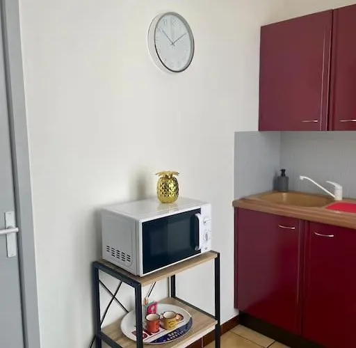 アパート Cosy Au Coeur De ディジョン